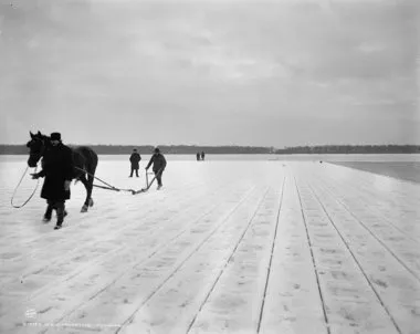 Labor-intensive ice-harvesting for refrigeration purposes circa 1900